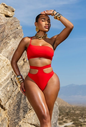 Basil High Waisted Bikini - Red classic triangle bikinis, simple bikini top and bottom