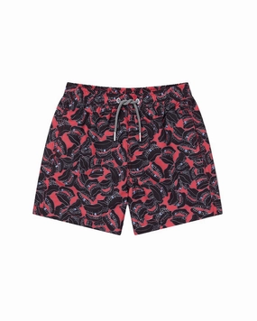 Boardies Teeth Swim Short boys swimwear sets, boys swim trunks