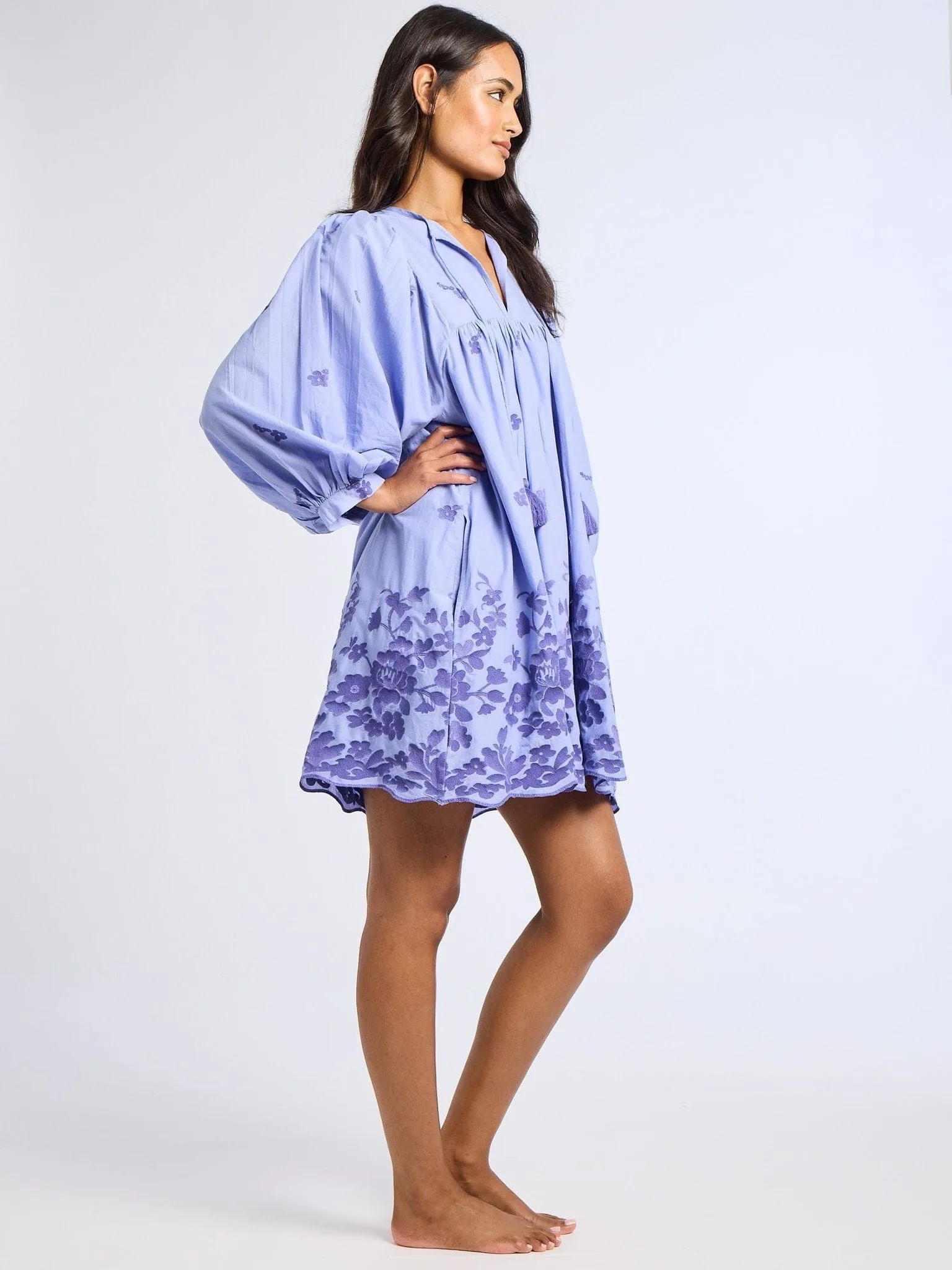 Daisy Dress in Periwinkle Embroidery