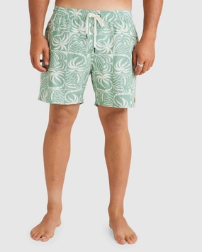 Exotica Elastic Swim Boardshort In Granite Green mens beach swimwear, quick dry mens swimsuits