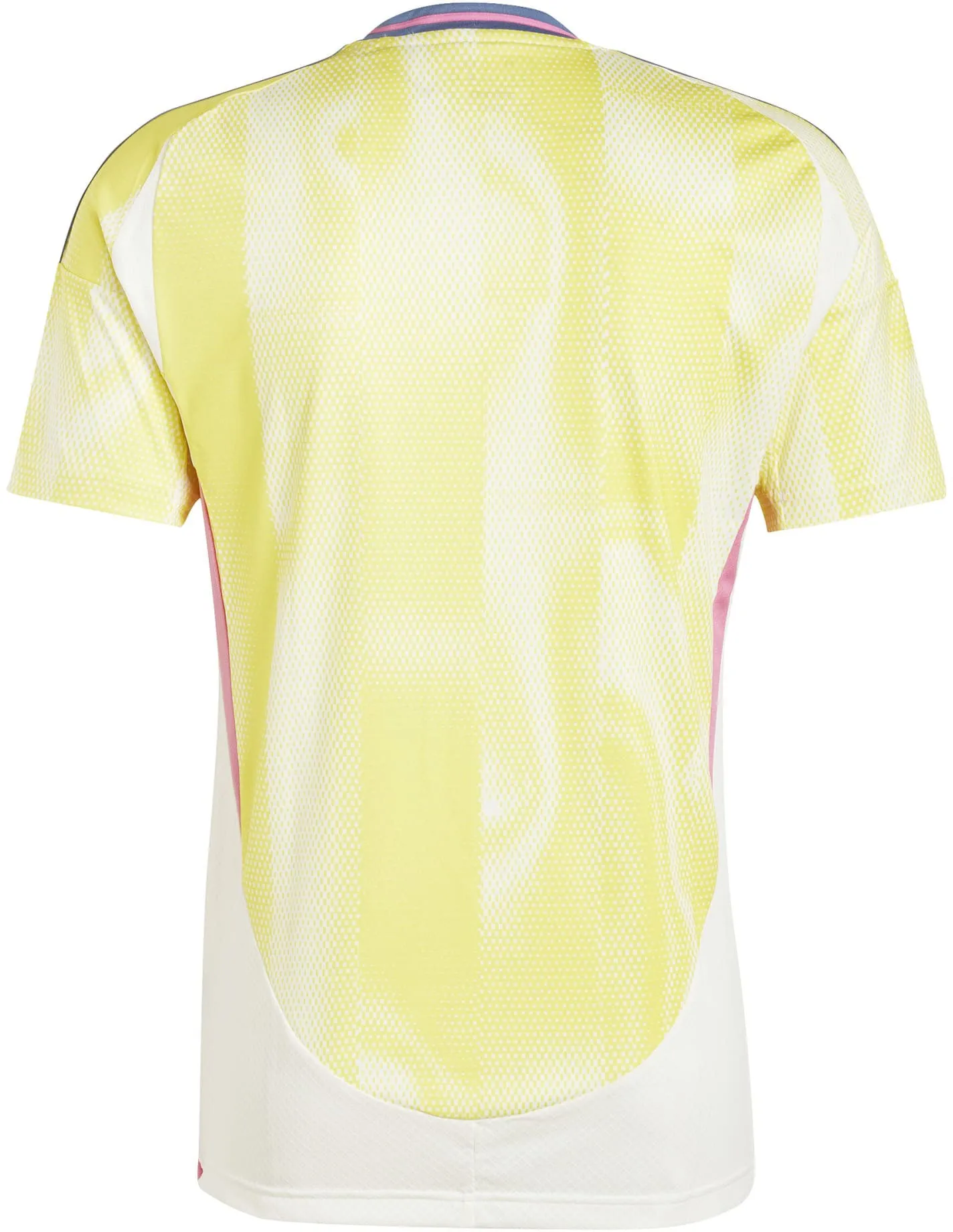 Men's Juventus 2024/25 Away Soccer Jersey
