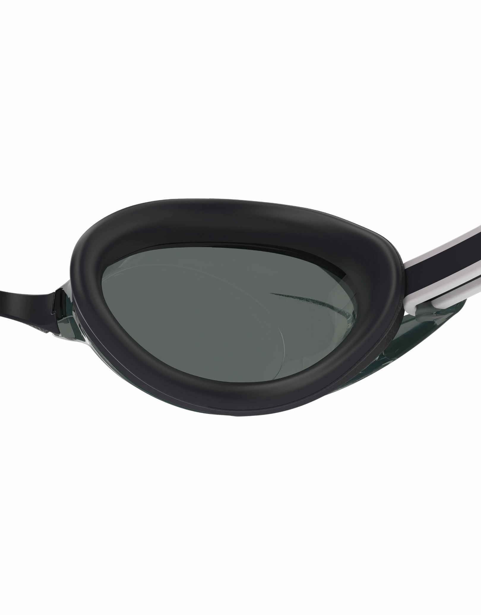 Vanquisher 3.0 Swim Goggle